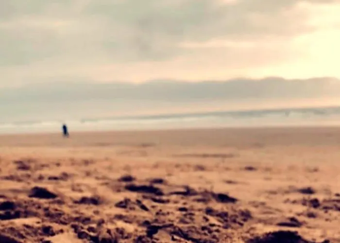 Maison Vendéenne Avec Prestations Сasa de vacaciones